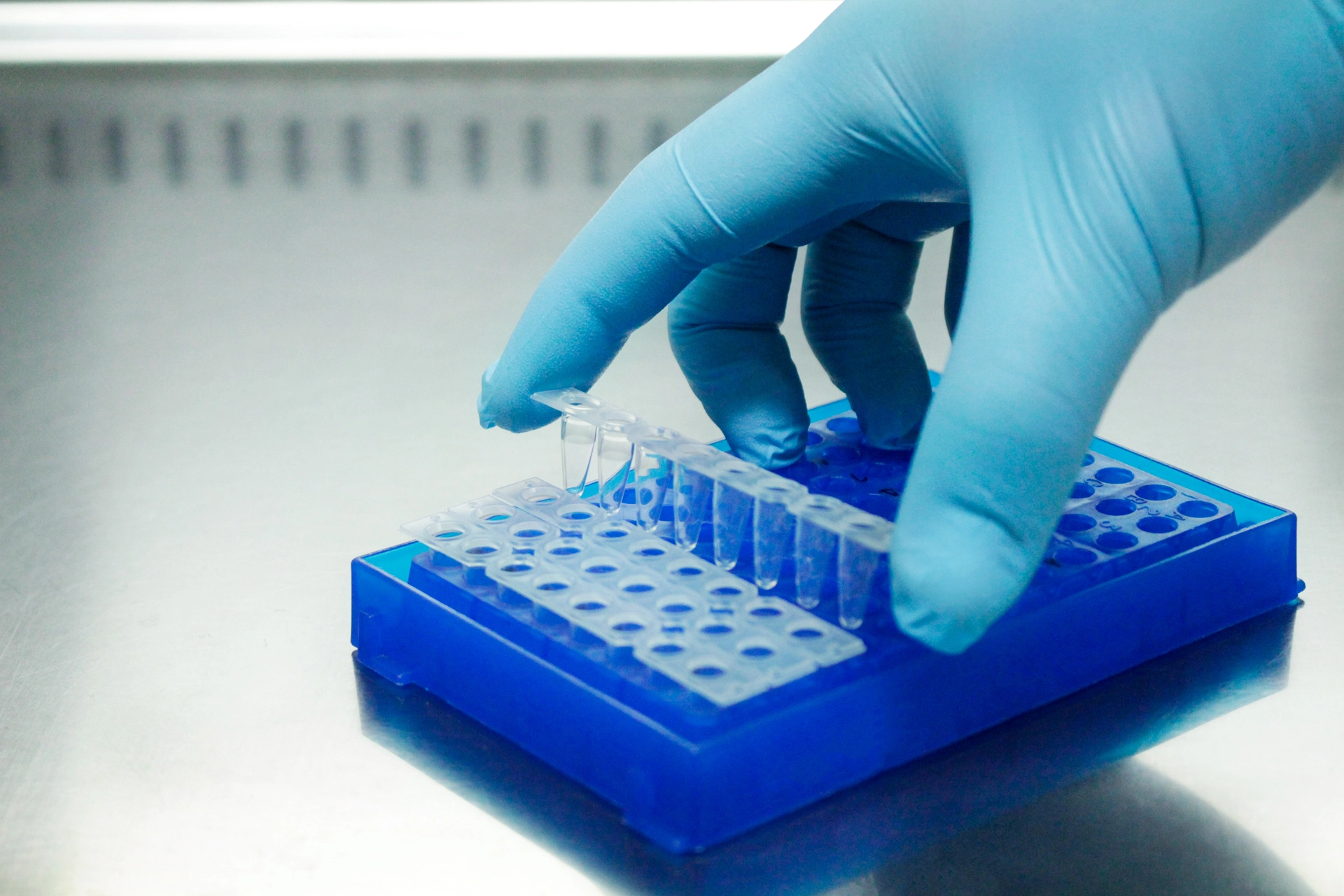Scientist working